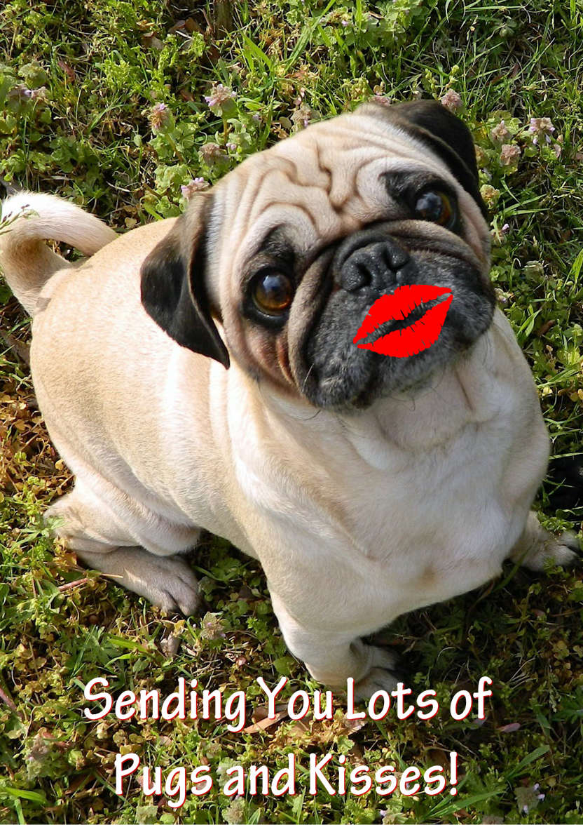 Pugs and Kisses Cute Card Front - card made with Crafty Bob's Card Creator