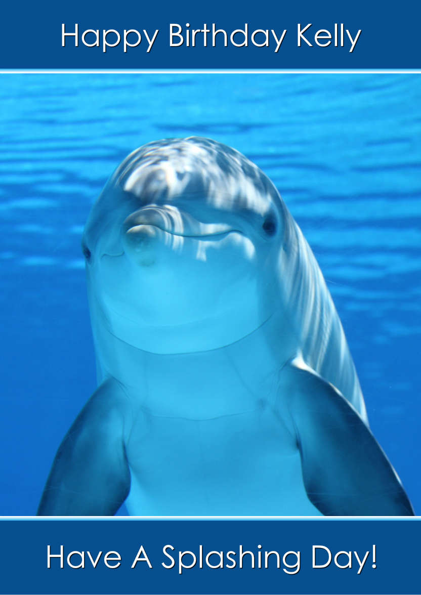 Delightful Dolphin - card made with Crafty Bob's Card Creator