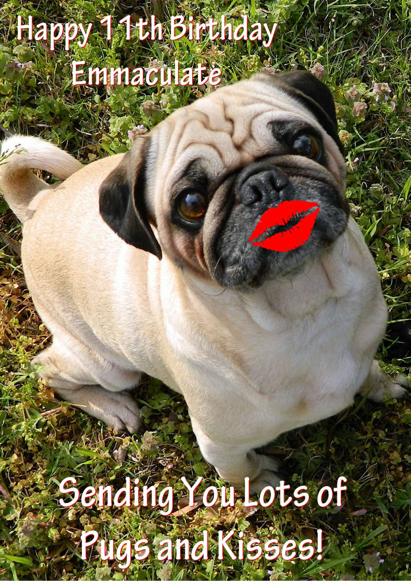 Pugs and Kisses Cute Card Front - card made with Crafty Bob's Card Creator