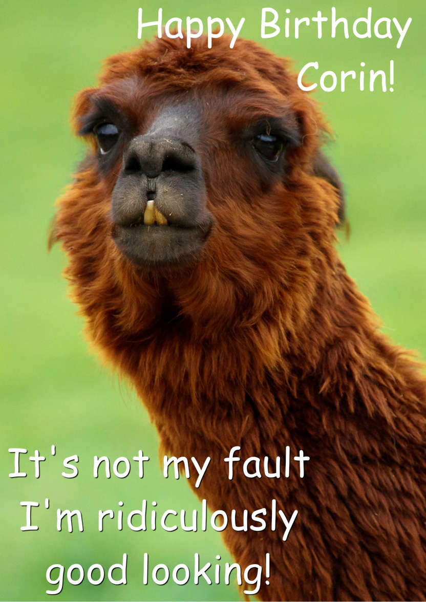 Charming Llama Humorous Card Front - card made with Crafty Bob's Card Creator