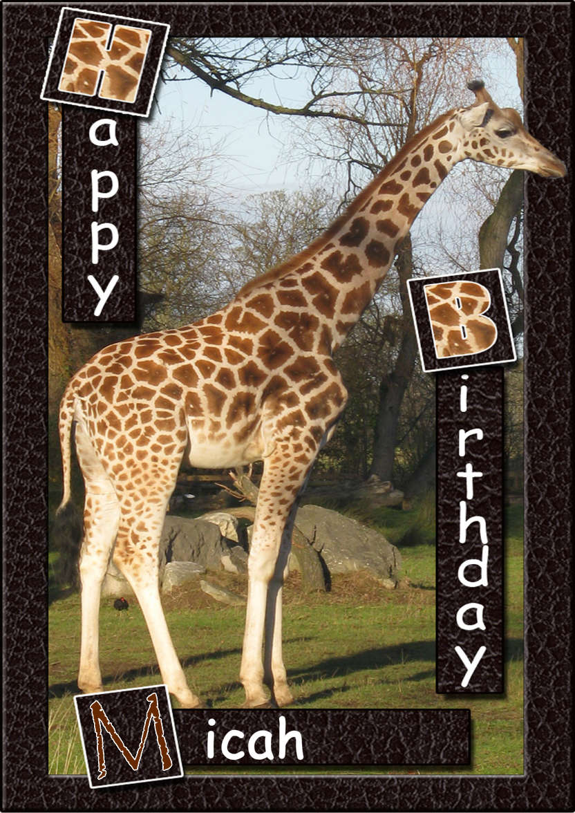Birthday Giraffe - card made with Crafty Bob's Card Creator