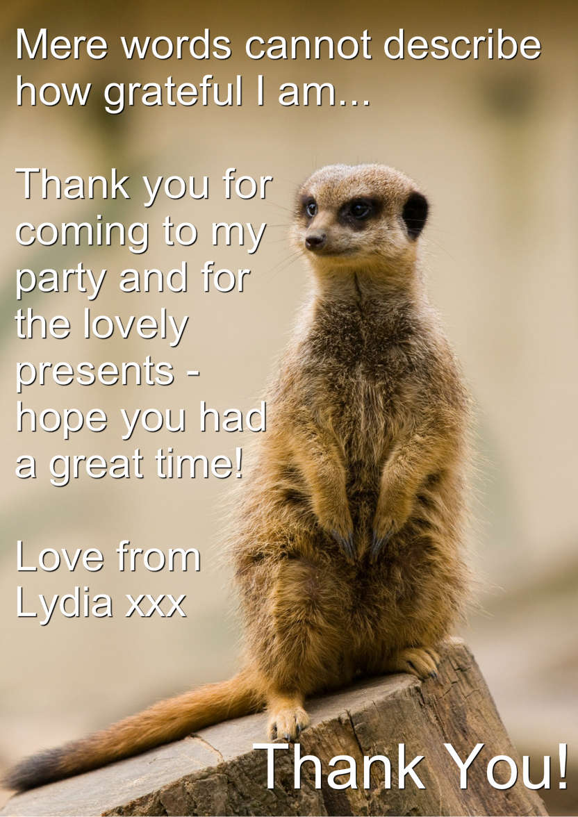 Meerkat Thank You Card Front - card made with Crafty Bob's Card Creator