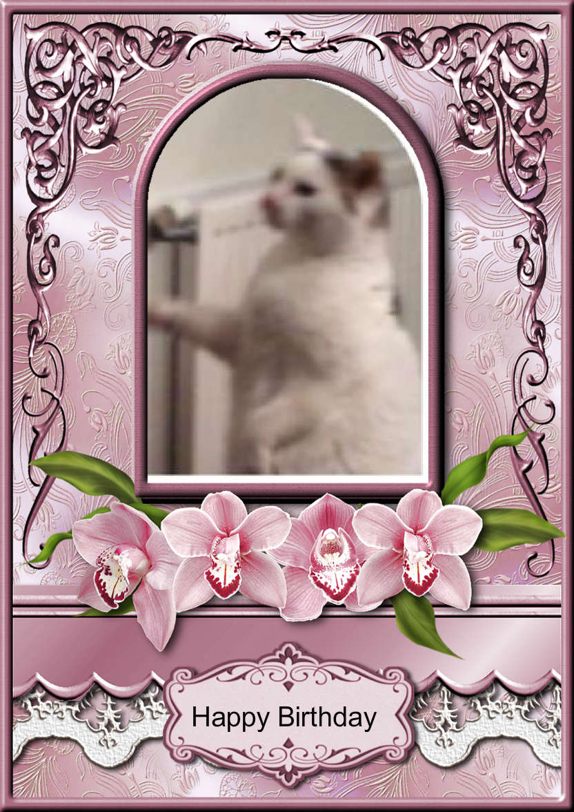 Pink Orchids Arched Frame Card - card made with Crafty Bob's Card Creator