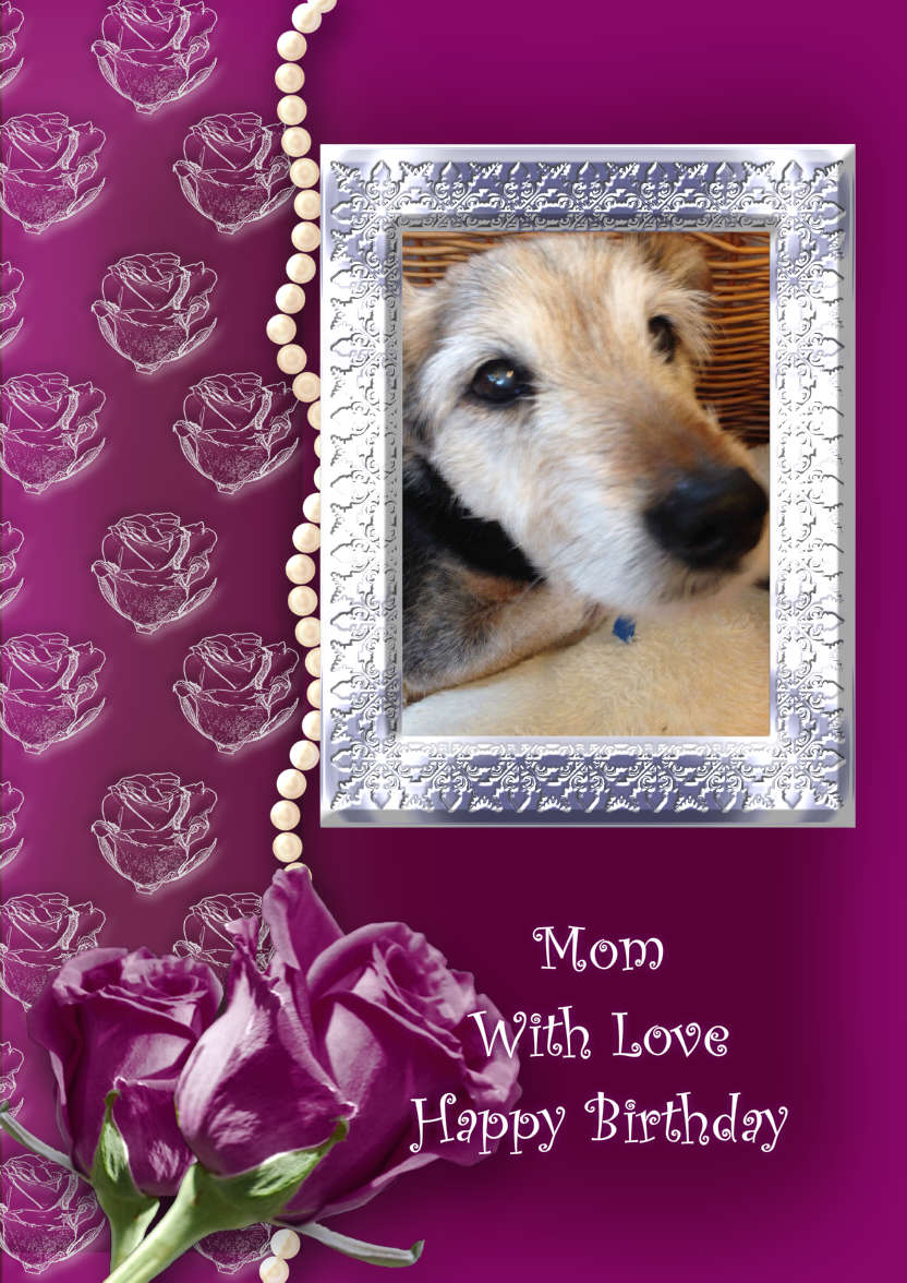Roses and Pearls - card made with Crafty Bob's Card Creator
