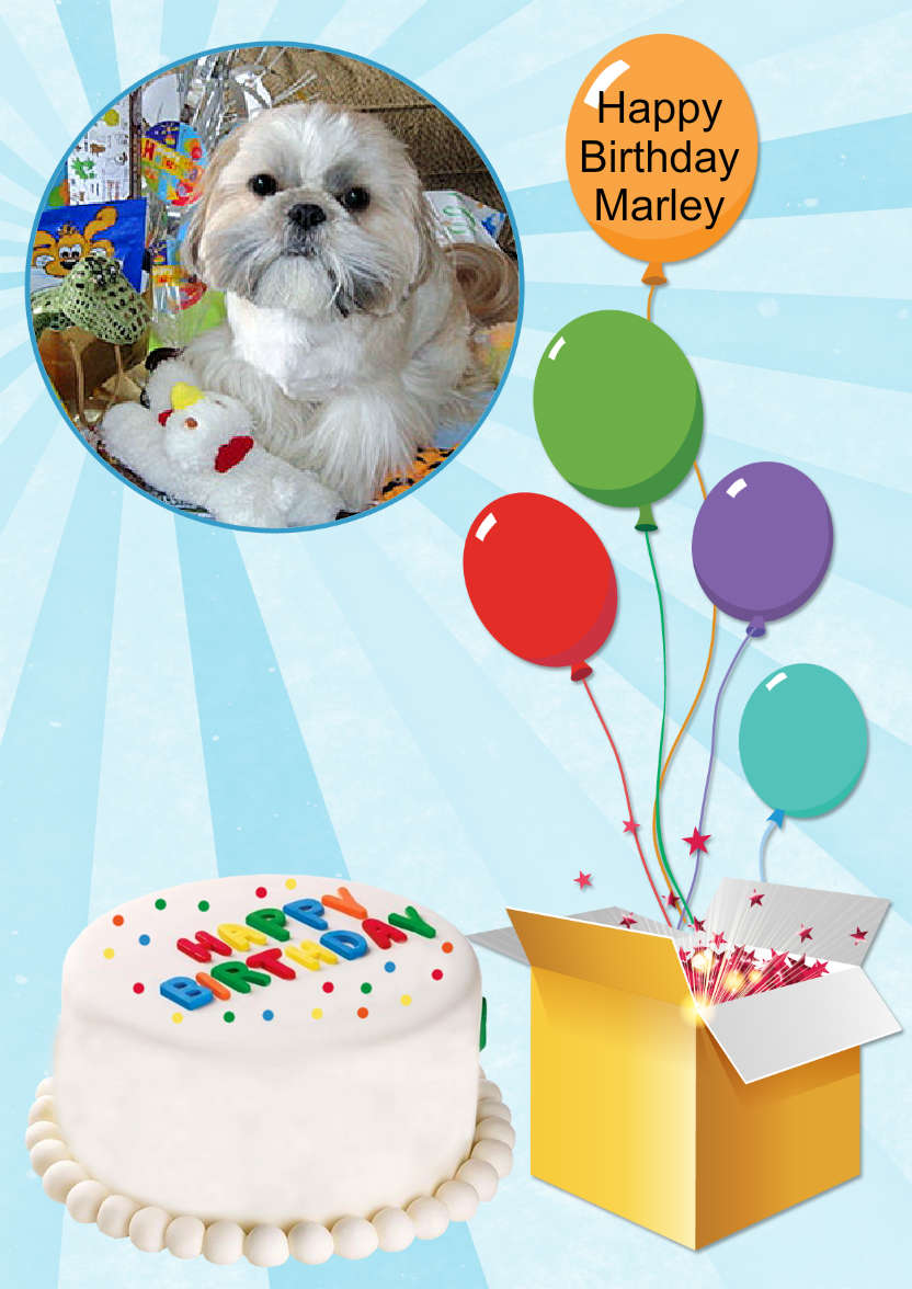Birthday Surprise Photo Card - card made with Crafty Bob's Card Creator