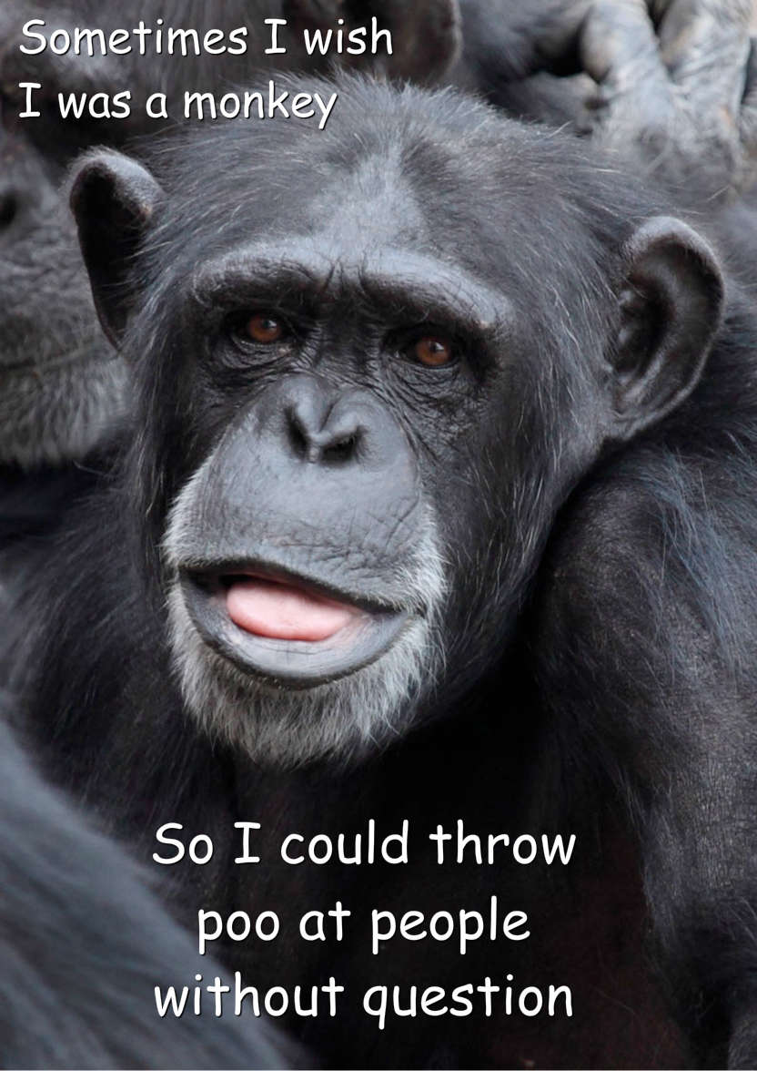 Cheeky Monkey Humorous Card Front - card made with Crafty Bob's Card Creator
