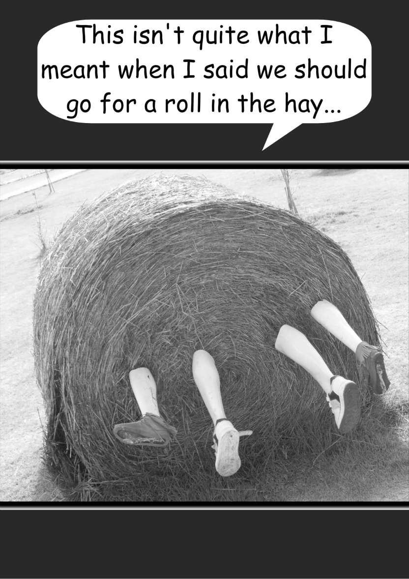 Roll in the Hay Humorous Card Front - card made with Crafty Bob's Card Creator