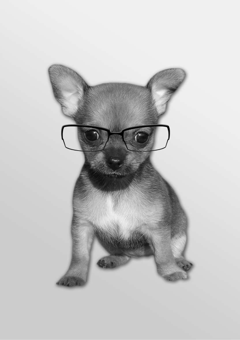 Chihuahua Puppy Card - card made with Crafty Bob's Card Creator