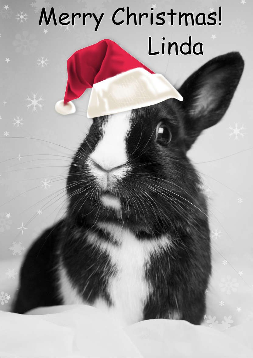 Christmas Bunny - card made with Crafty Bob's Card Creator