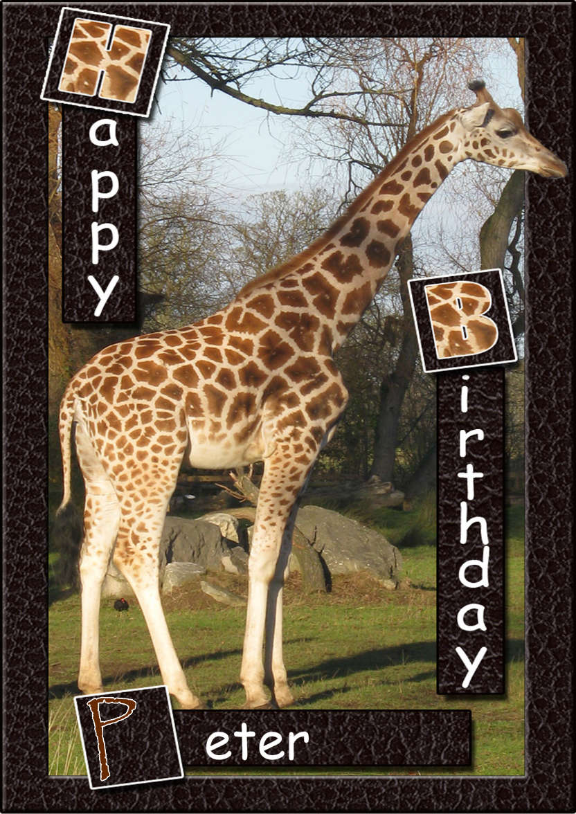 Birthday Giraffe - card made with Crafty Bob's Card Creator