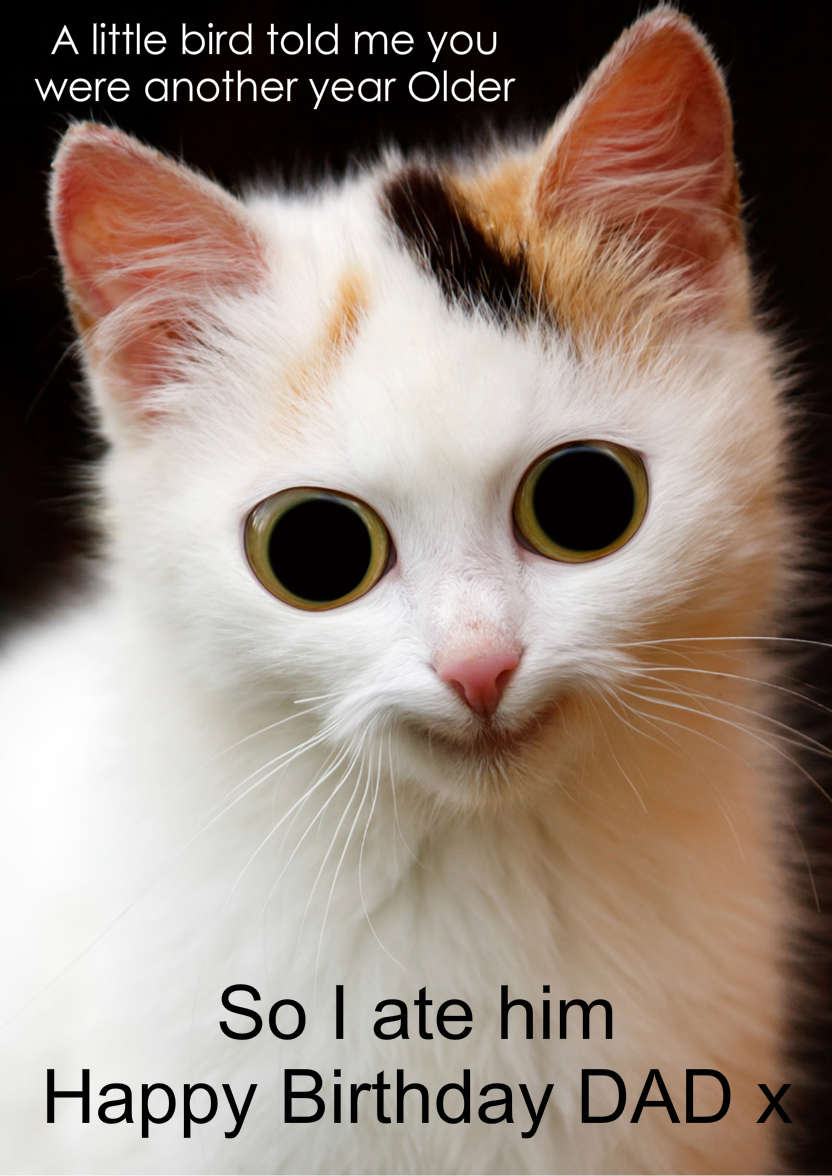 Mischievous Cat Humorous Card Front - card made with Crafty Bob's Card Creator