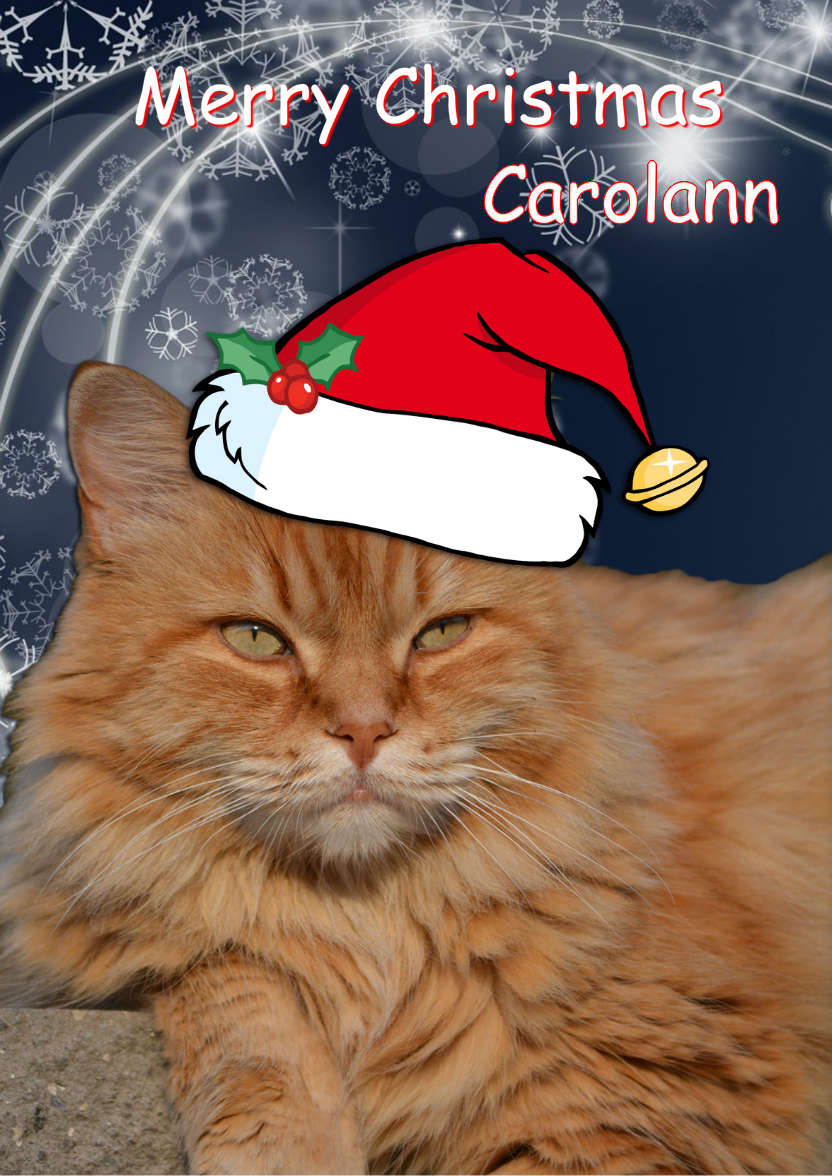 Christmas Cat - card made with Crafty Bob's Card Creator