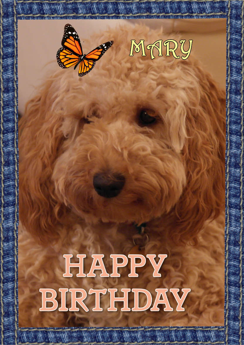 Cute Birthday - card made with Crafty Bob's Card Creator