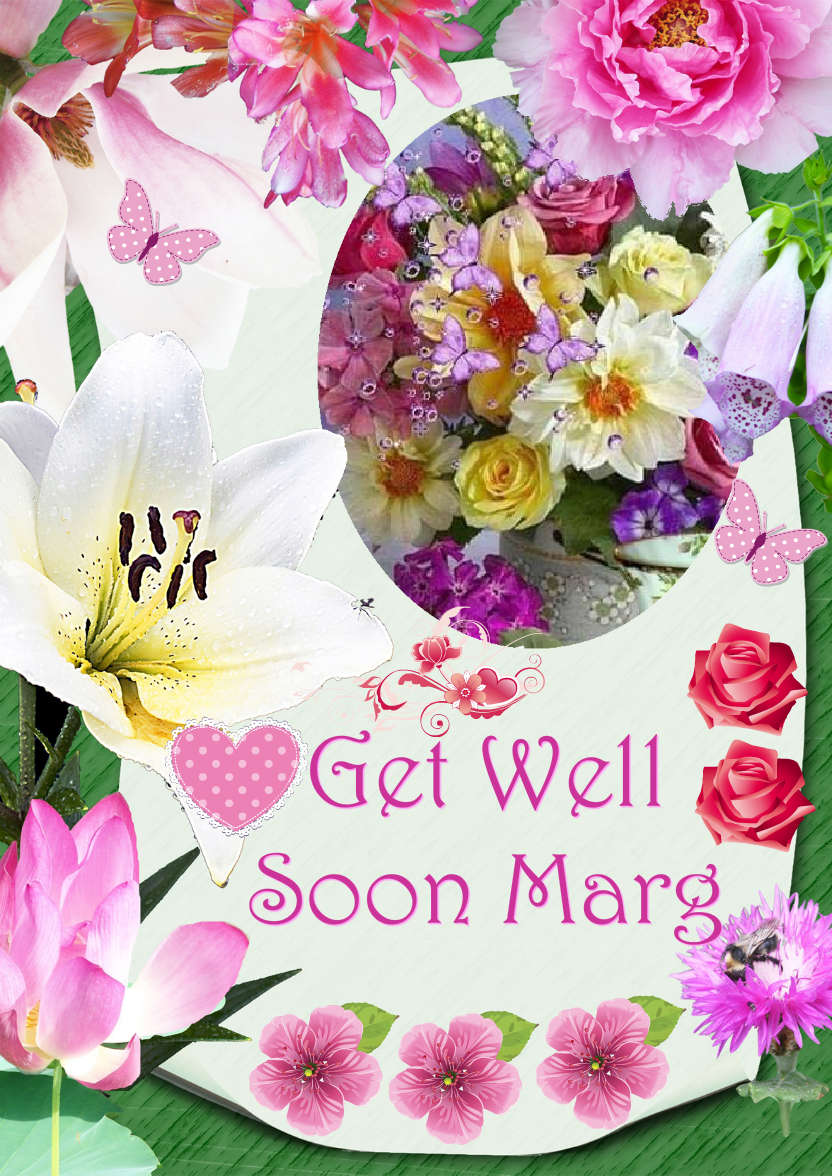 Floral Frame Get Well Soon Photo Card - card made with Crafty Bob's Card Creator