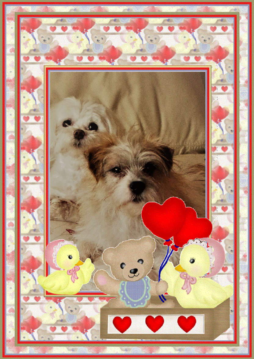 Bear and Duck Birthday - card made with Crafty Bob's Card Creator