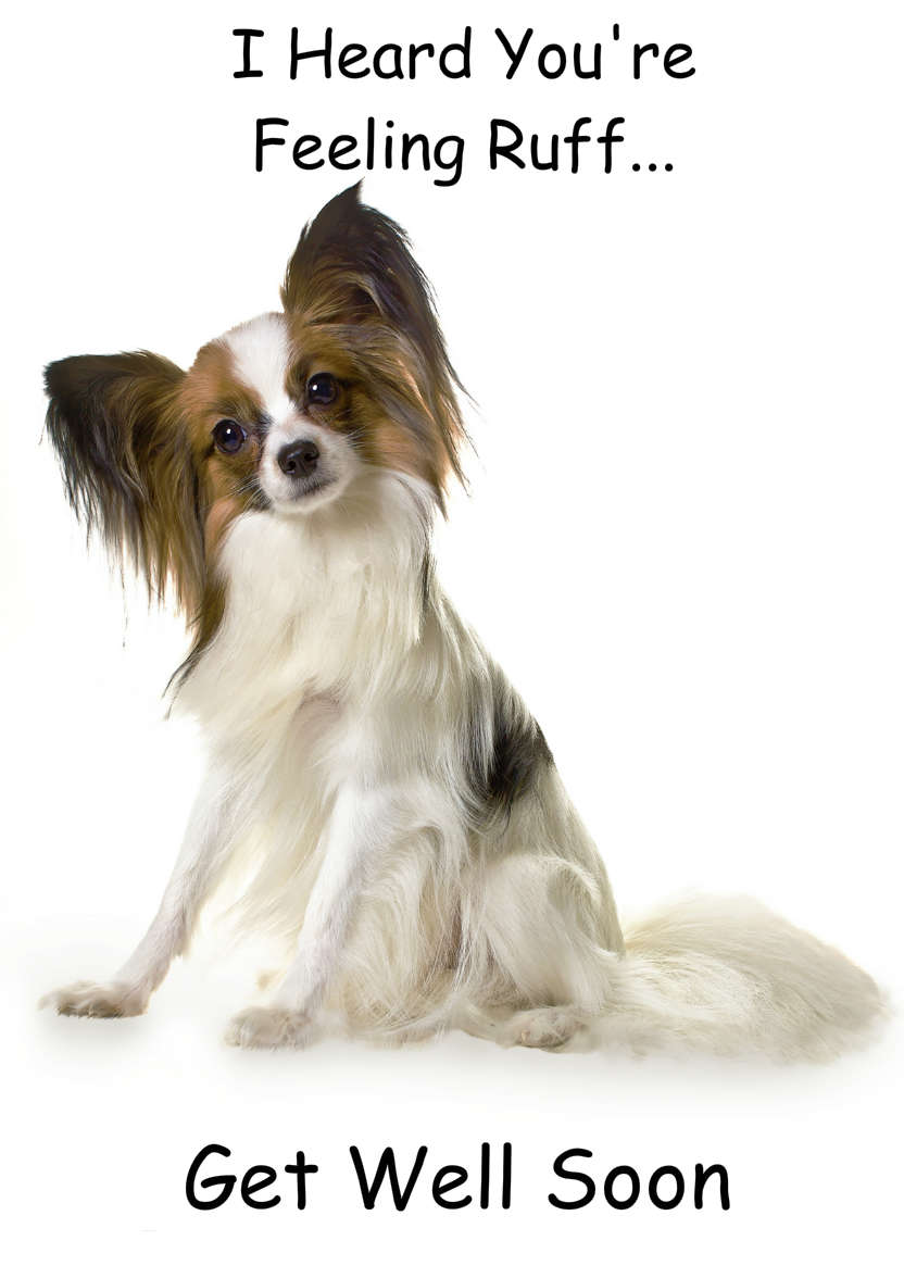 Papillon Dog Card - card made with Crafty Bob's Card Creator