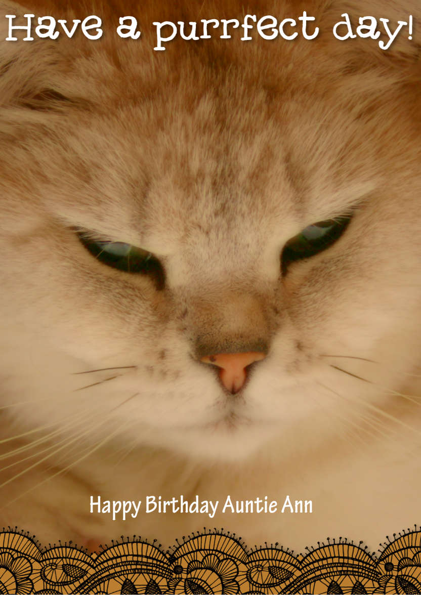 Purrfect Day - card made with Crafty Bob's Card Creator
