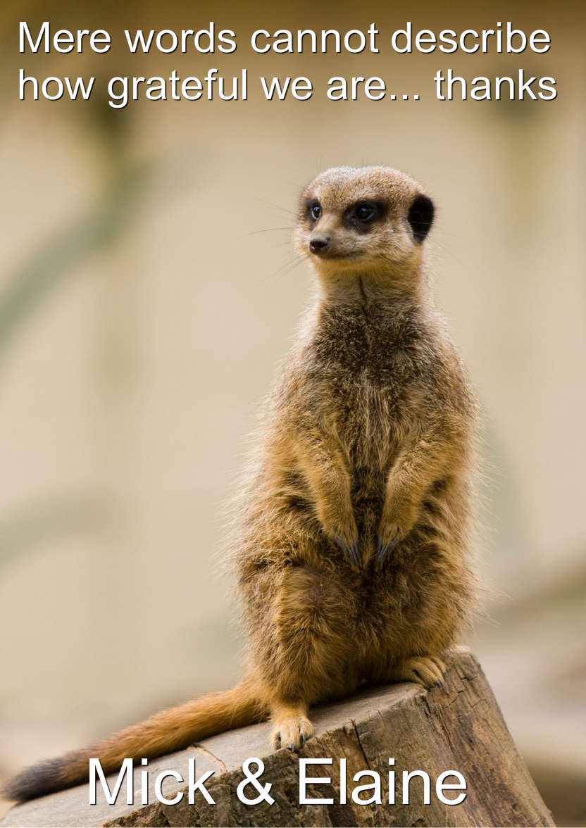 Meerkat Thank You Card Front - card made with Crafty Bob's Card Creator