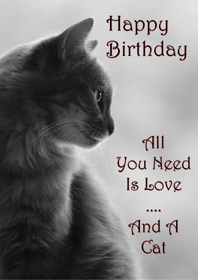 Cat Profile Card - card made with Crafty Bob's Card Creator