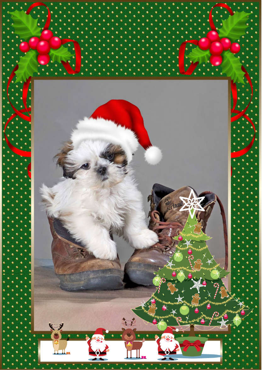 Pup in Boot - card made with Crafty Bob's Card Creator