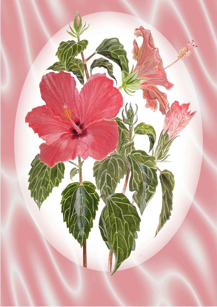 Pink Hibiscus and Satin - card made with Crafty Bob's Card Creator