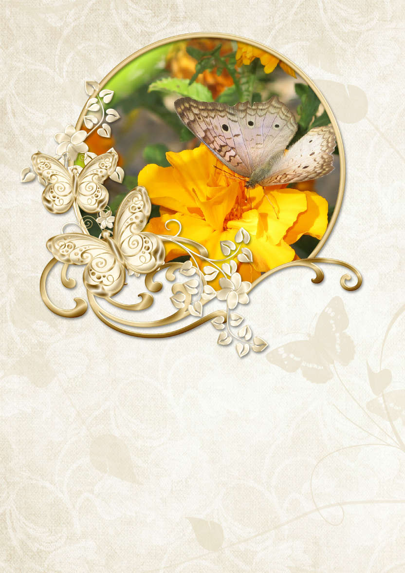 Gold Butterfly Aperture Photo Card - card made with Crafty Bob's Card Creator