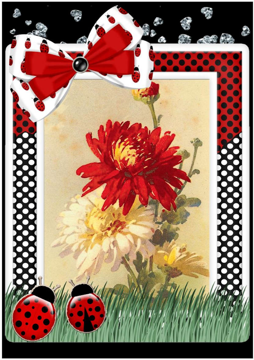 Ladybug Frame Card Front - card made with Crafty Bob's Card Creator