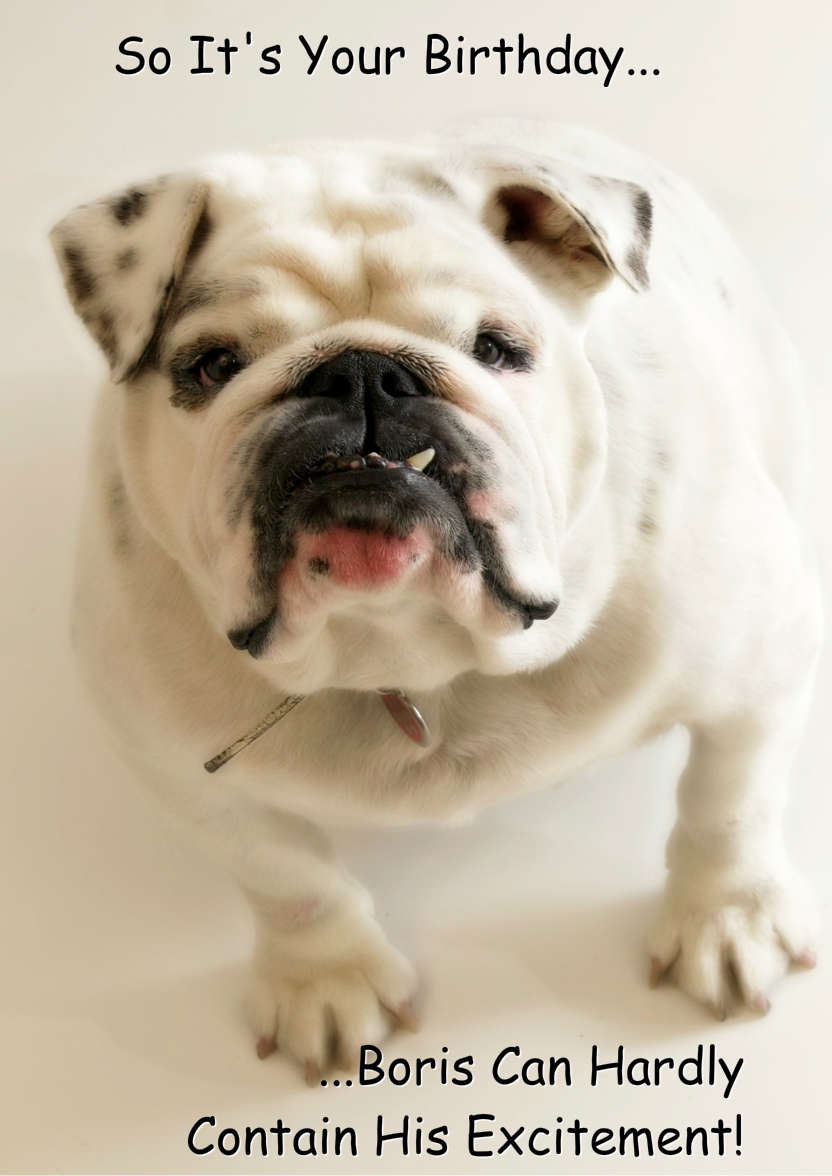 Excited Bulldog Card Front - card made with Crafty Bob's Card Creator