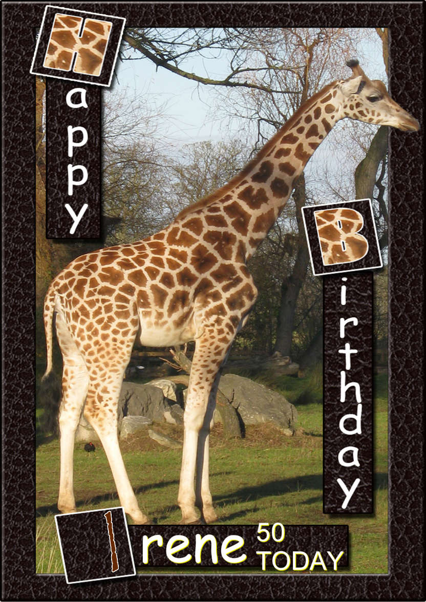 Birthday Giraffe - card made with Crafty Bob's Card Creator