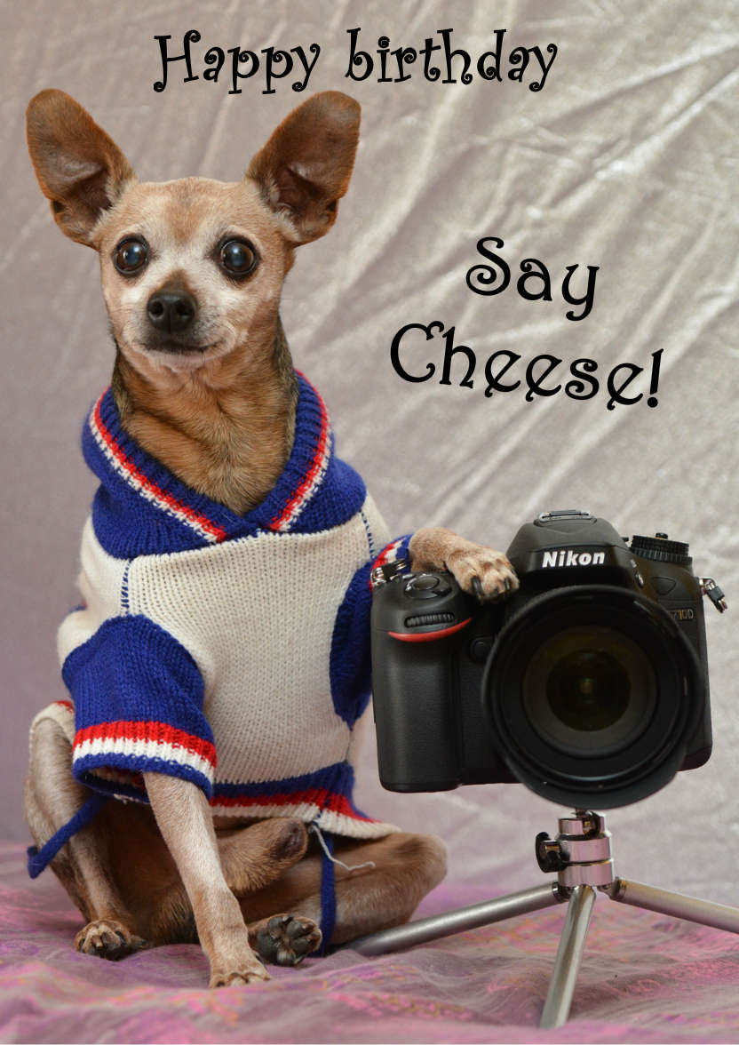 Chihuahua Photographer Card - card made with Crafty Bob's Card Creator
