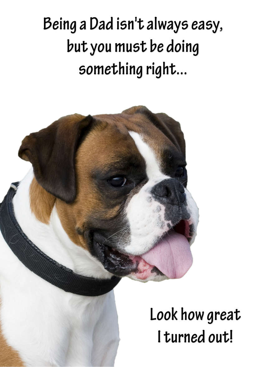 Boxer Card - card made with Crafty Bob's Card Creator