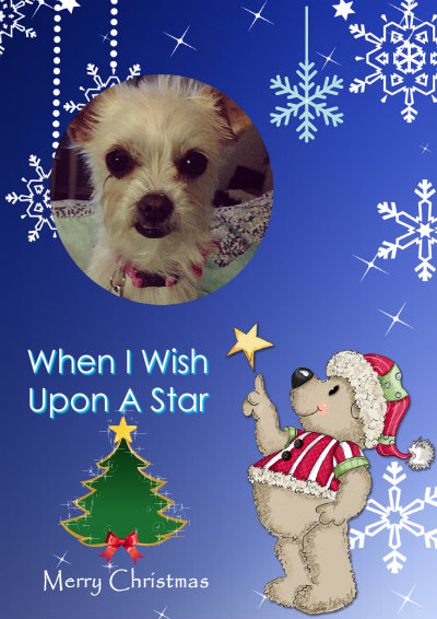 When I Wish Upon a Star Christmas Aperture Card Front - card made with Crafty Bob's Card Creator