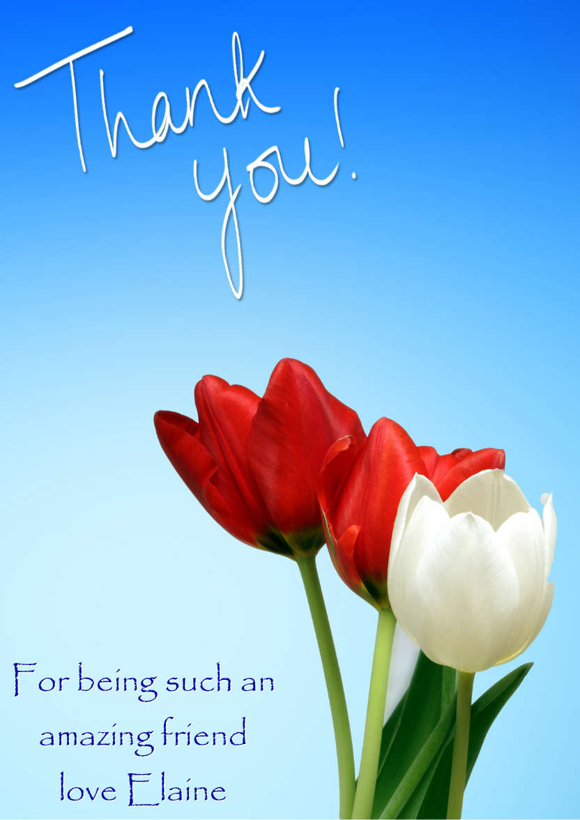 Thank You Tulips Card Front - card made with Crafty Bob's Card Creator