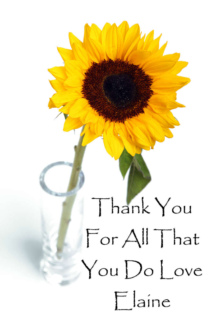 Solitary Sunflower Card Front - card made with Crafty Bob's Card Creator
