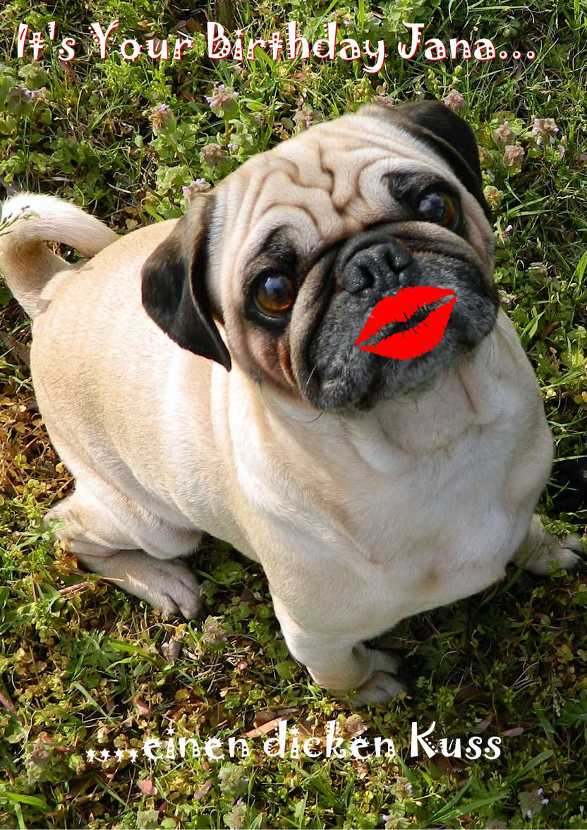 Pugs and Kisses Cute Card Front - card made with Crafty Bob's Card Creator