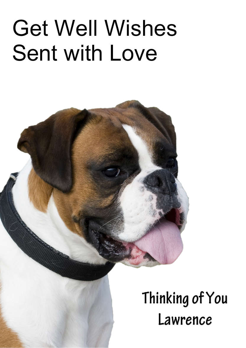 Boxer Card - card made with Crafty Bob's Card Creator