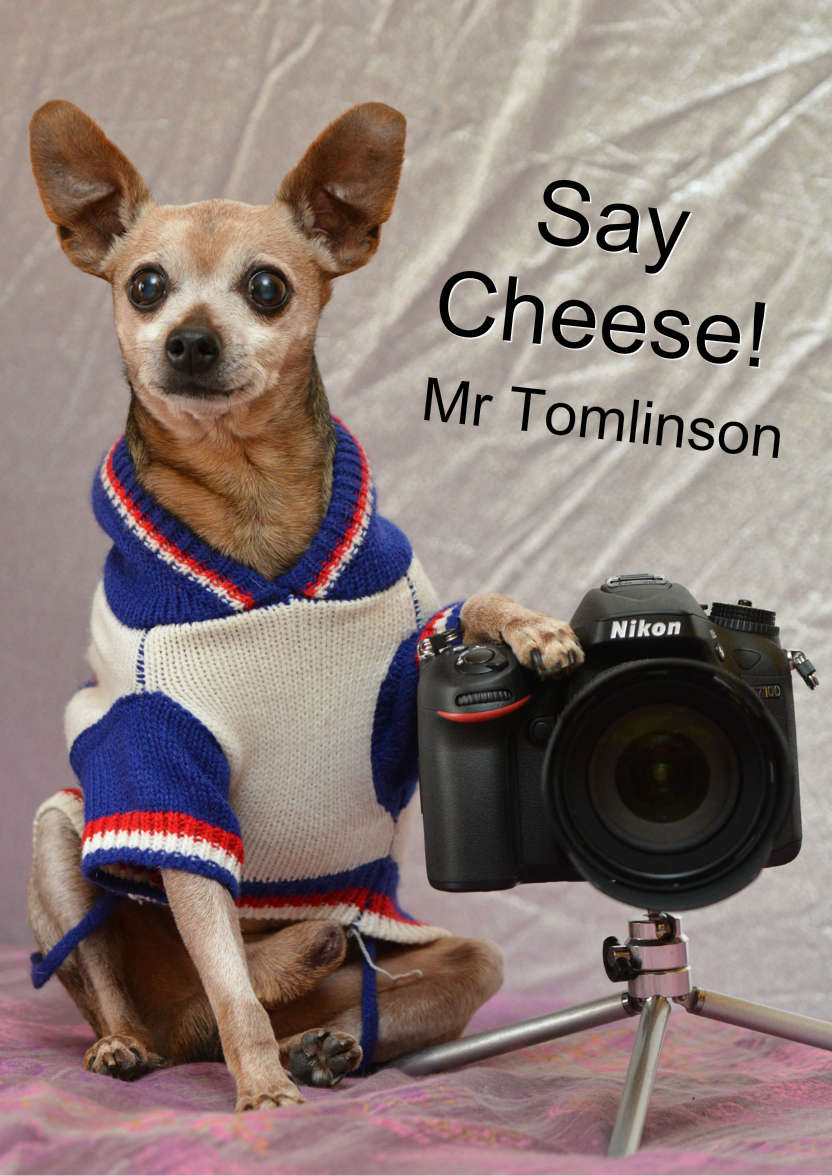 Chihuahua Photographer Card - card made with Crafty Bob's Card Creator