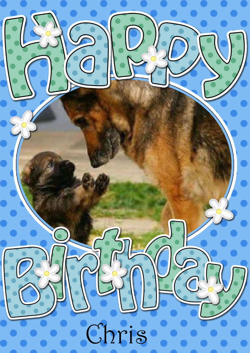 Birthday Dots & Flowers Photo Upload Card - card made with Crafty Bob's Card Creator