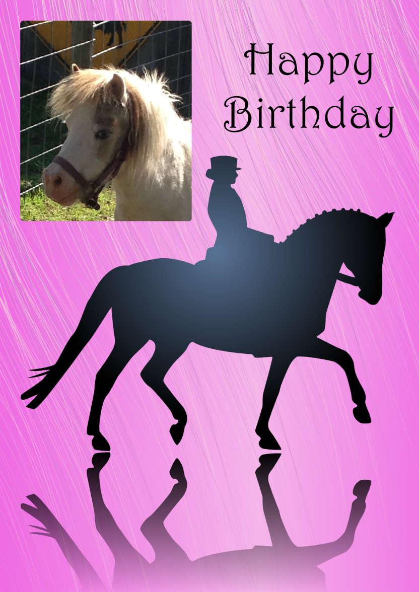 Dressage Photo Card - card made with Crafty Bob's Card Creator