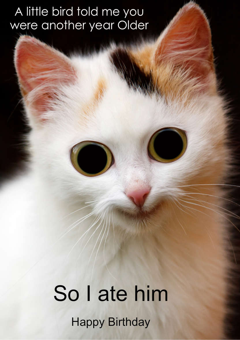 Mischievous Cat Humorous Card Front - card made with Crafty Bob's Card Creator