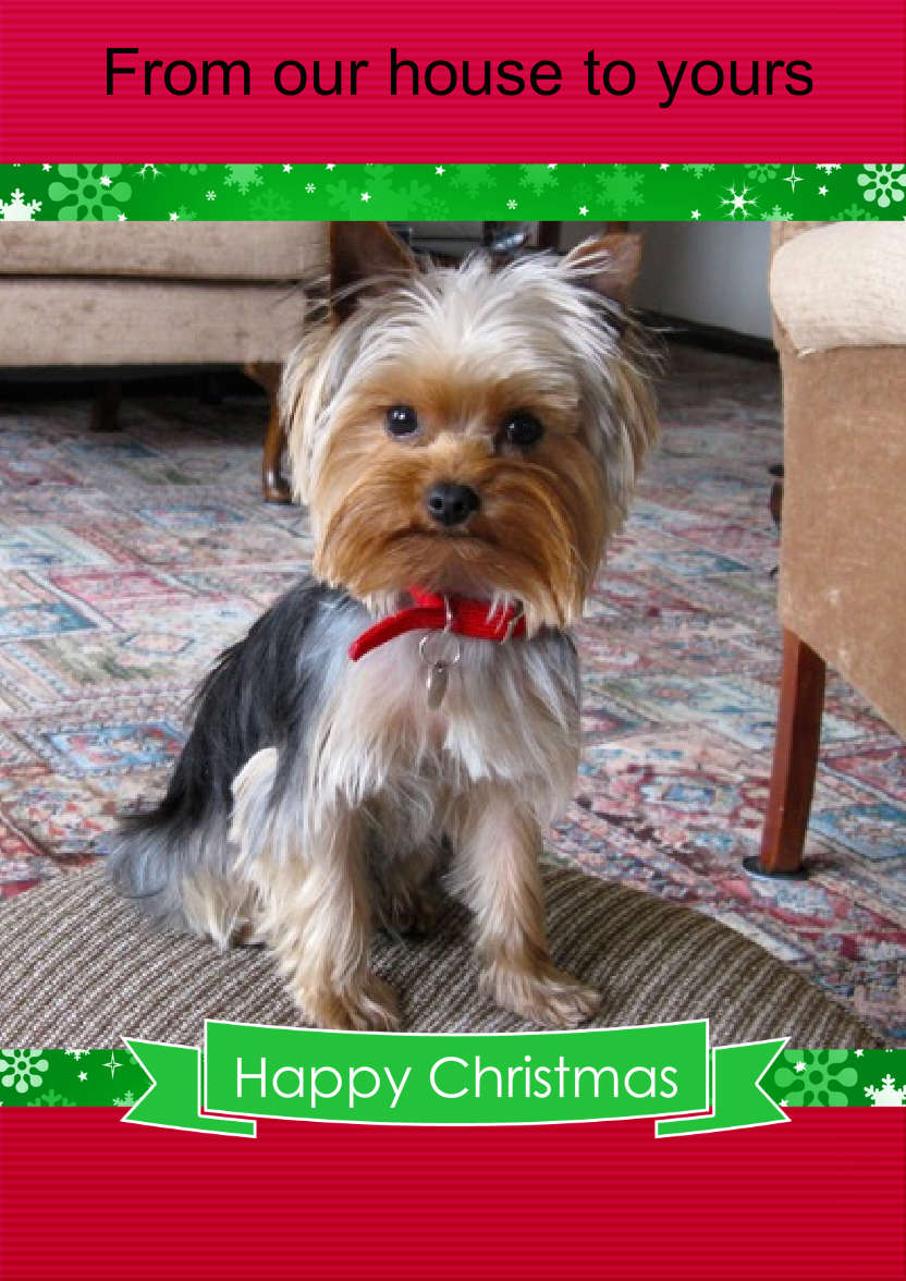 Christmas Frame Card - card made with Crafty Bob's Card Creator