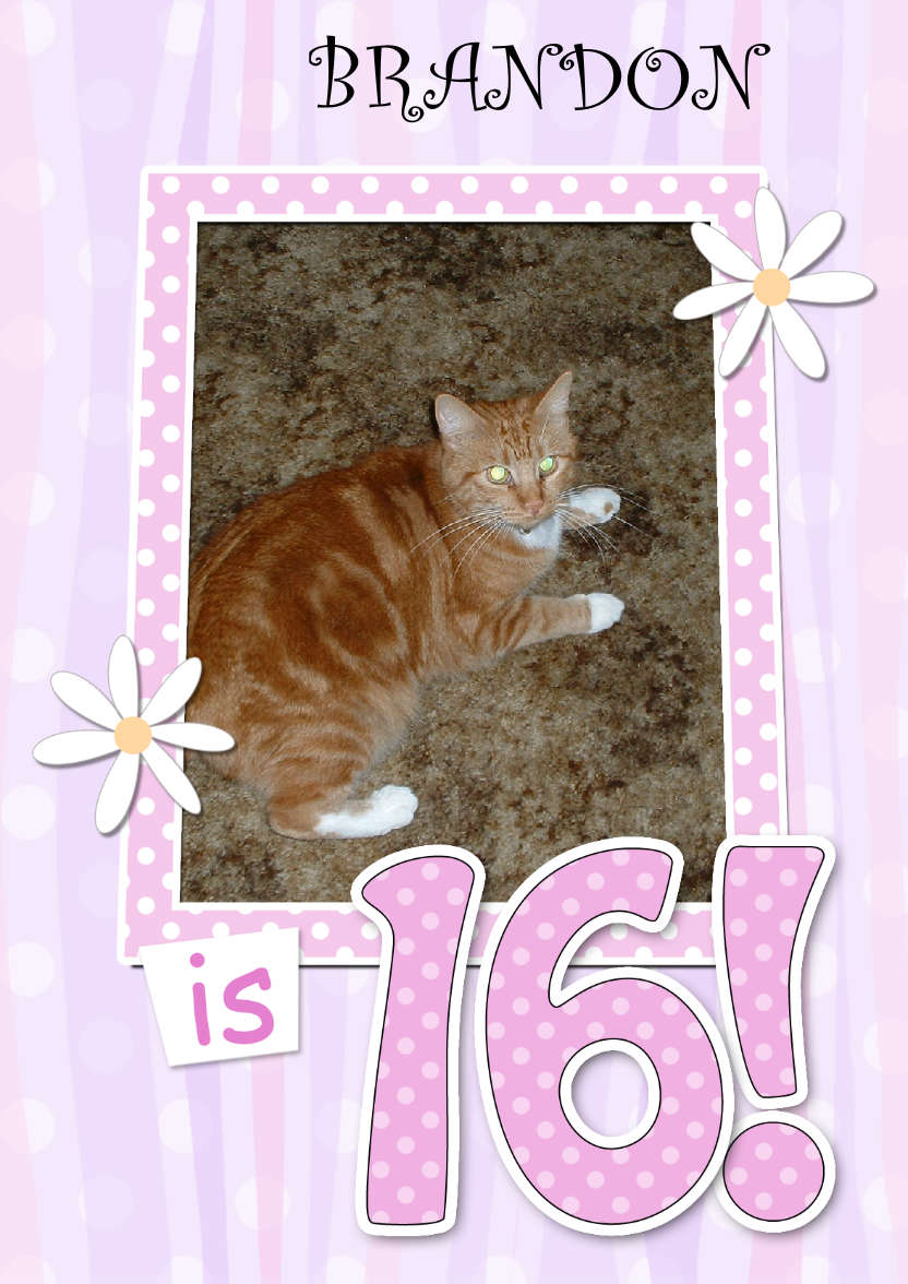16th Birthday Stripes & Flowers Photo Upload Card - card made with Crafty Bob's Card Creator