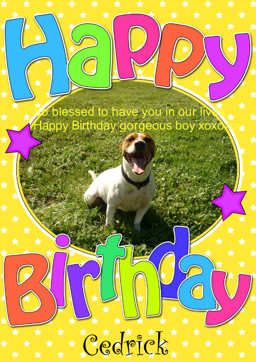 Birthday Stars Photo Upload Card - card made with Crafty Bob's Card Creator