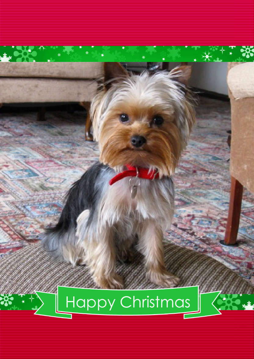 Christmas Frame Card - card made with Crafty Bob's Card Creator