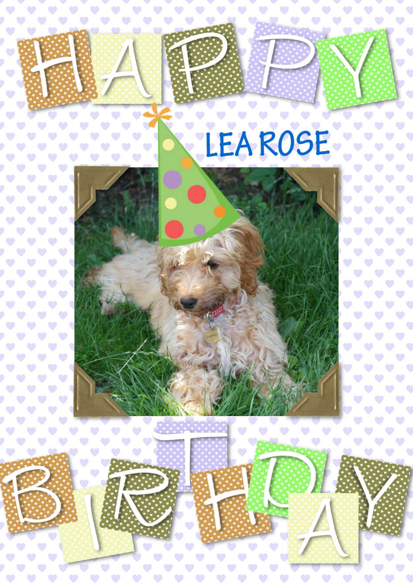 Cute Birthday - card made with Crafty Bob's Card Creator