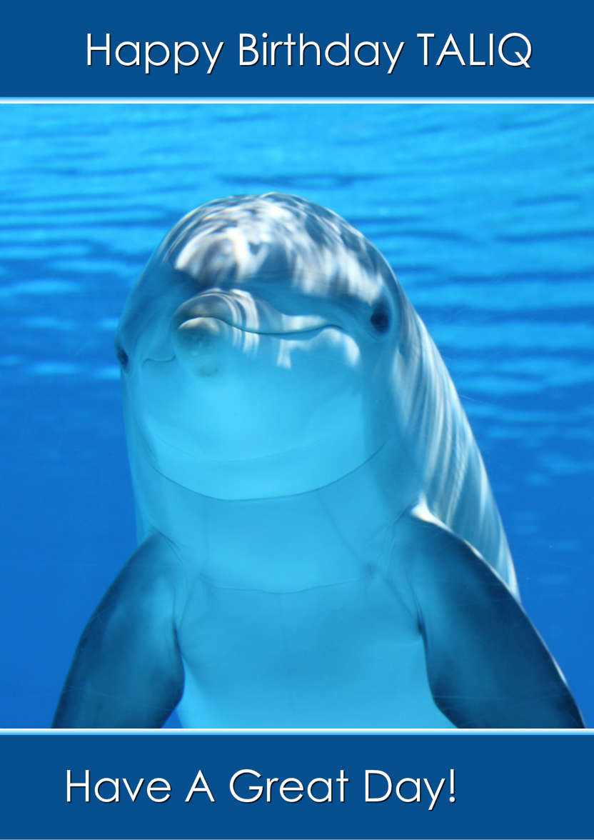 Delightful Dolphin - card made with Crafty Bob's Card Creator