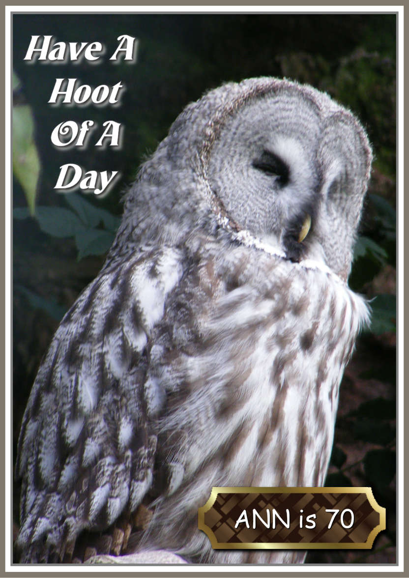 Have a Hoot of a Day - card made with Crafty Bob's Card Creator
