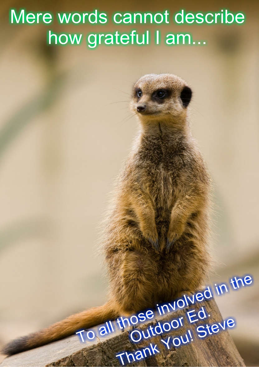 Meerkat Thank You Card Front - card made with Crafty Bob's Card Creator