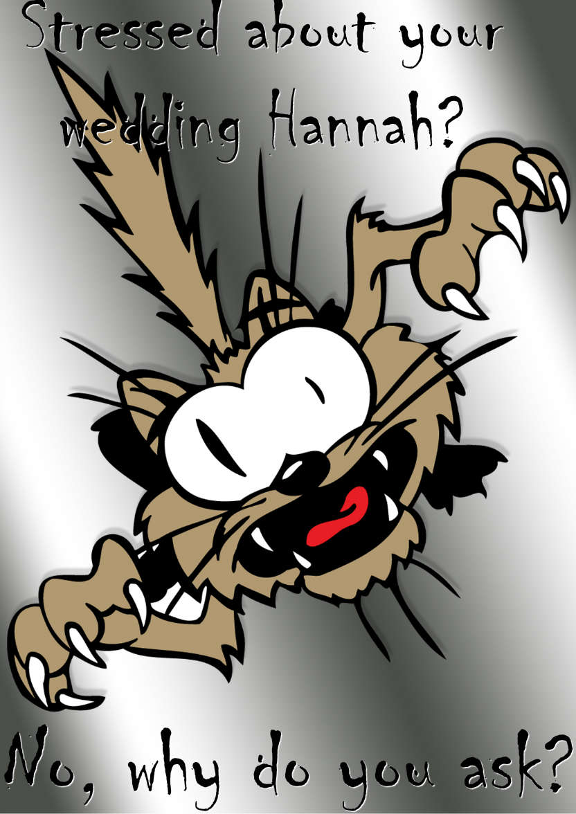 Stressed? Humorous Cat Card - card made with Crafty Bob's Card Creator