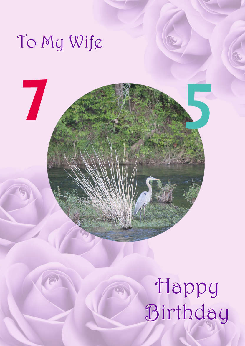 Purple Roses Background - card made with Crafty Bob's Card Creator